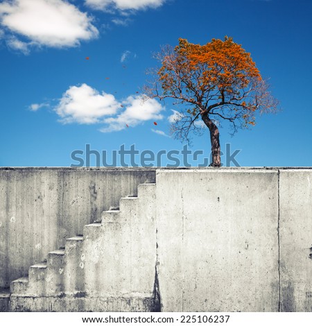White concrete wall with stairway and small autumnal tree above blue sky