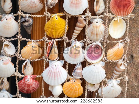 Colorful shells hanging on net, marine decoration