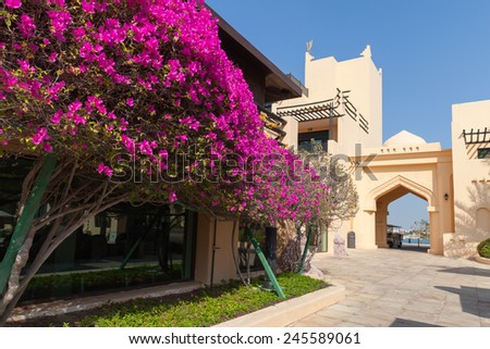 Yellow house with classical Arabic style arch and bushes with pink flowers
