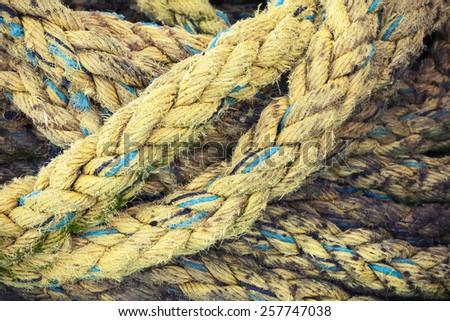 Yellow nautical rope, closeup background texture