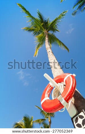 Red round life buoy hanging on the tall palm tree, on the beach in Dominican republic