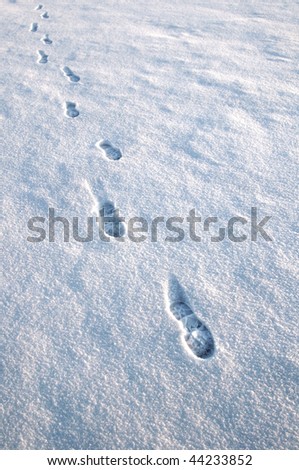 Approaching footsteps in the snow