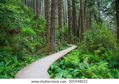 Hiking trail in Fern Canyon in the Prairie Creek Redwoods State Park in Humboldt County, California,