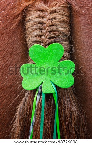 Horse's tail decorated with a clover leaf