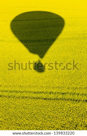 shade of a hot air balloon on a canola field