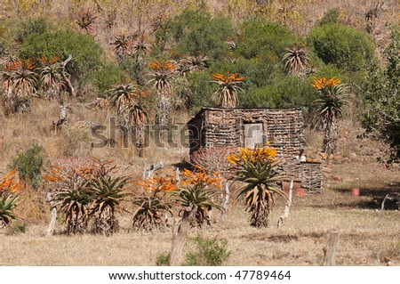 Wattle, daub and mud home in rural South Africa