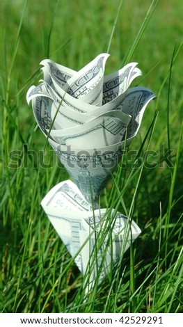 concept money flower in green grass