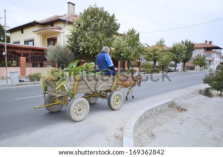 KULATA, BULGARIA - SEPTEMBER 30: Unidentified man on his donkey cart laden with corn harvest in the village near Greek border, a typical mode of transport, on September 30, 2013 in Kulata, Bulgaria