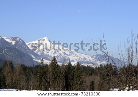 Hot Air Balloons over Kitzbueheler Horn (Mountain) in Austria
