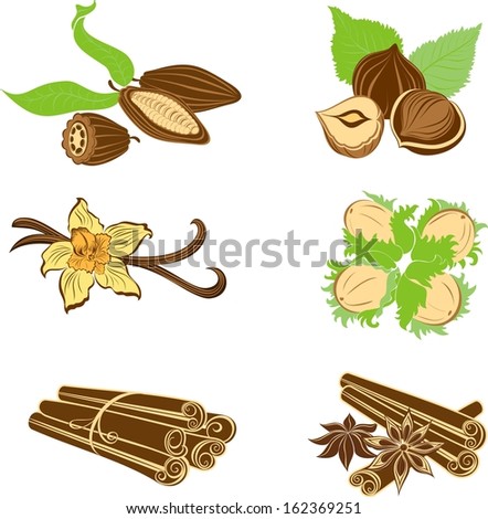 Collection of dessert ingredients. Hazelnuts, Cocoa beans, Vanilla pods, Anise, and Cinnamon isolated on white