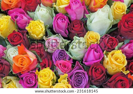 Bright multicolored bouquet of roses. Natural roses flowers background, soft focus