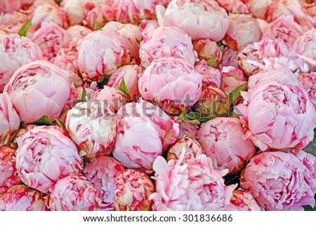 Bouquet of peony flowers on the farmers market, shallow depth of field.