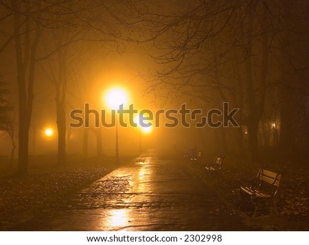 Park alley in the fog at night