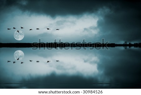 Full moon and flying birds reflecting in water
