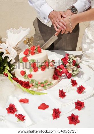 Bride and Groom cutting the Wedding Cake