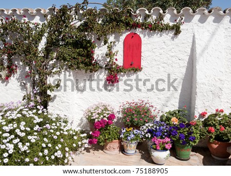 Corner of a Spanish Mediterranean Garden, Mojacar, Andalusia, Spain