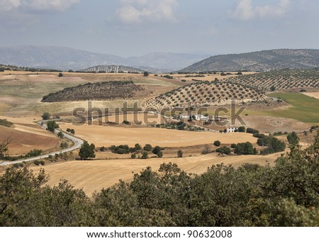 Old Spanish Farmhouse surrounded by Olive trees, Andalusia, Cordoba Province, Spain