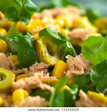 Fresh tuna, sweetcorn, green olive and watercress salad (Selective Focus, Focus on the front of the olive ring in the middle of the salad)