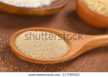 Baking ingredients: Active dry yeast on wooden spoon with sugar and flour in the back (Selective Focus, Focus in the middle of the dry yeast)