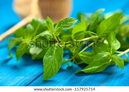Fresh mint leaves on blue wood with tea strainer in the back (Selective Focus, Focus on the leaves in the front)