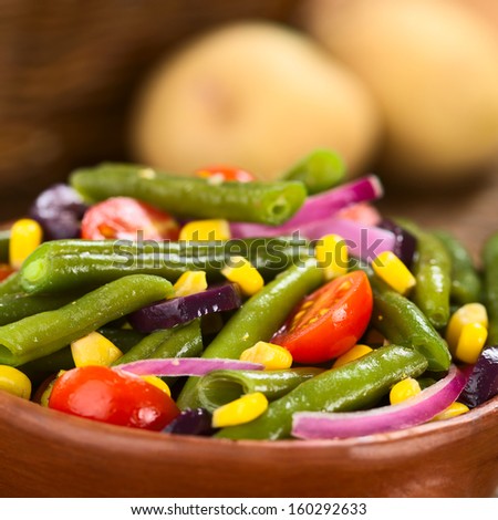 Fresh colorful vegetarian salad made of green beans, cherry tomatoes, sweet corn, black olives and red onions (Selective Focus, Focus one third into the salad)