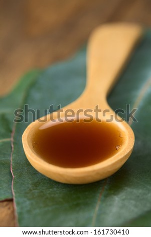 Eucalyptus cough syrup on wooden spoon on fresh Eucalyptus leaves (Very Shallow Depth of Field, Focus one third into the syrup)