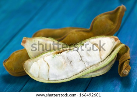 Peruvian fruit called Pacay (lat. Inga feuilleei), which is a podded fruit of which the sweet white pulp surrounding the seeds is being eaten (Selective Focus, Focus on the middle of te pulp)