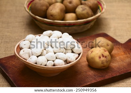 Tunta, also white chuno or moraya, is a freeze-dried (dehydrated) potato made in the Andes region, mainly Bolivia and Peru (Selective Focus, Focus one third into the tuntas) (Lit with natural light)