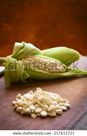 Kernels of white corn Choclo (Spanish), in English Peruvian or Cuzco corn, typically found in Peru and Bolivia, photographed with natural light (Selective Focus, Focus one third into the kernels)