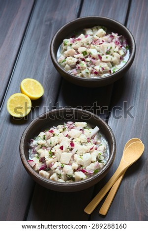 Chilean Ceviche of Southern Ray\'s bream fish (lat. Brama Australis, Spanish Reineta), onion, garlic, cilantro, lemon juice, lit with natural light (Selective Focus, Focus in middle of first ceviche)