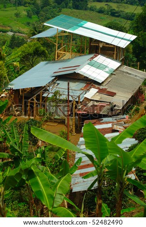 Buildings of a coffee farm in Colombia surrounded by banana plants