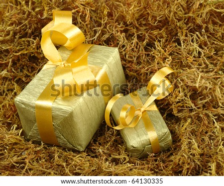 Boxes wrapped in golden paper with golden ribbon on brown moss (Selective Focus, Focus on front)