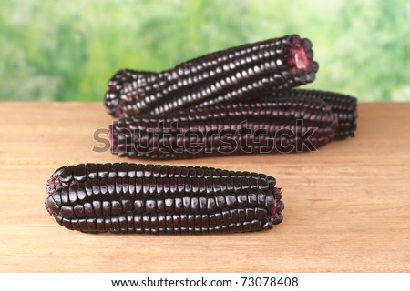Peruvian purple corn, which is mainly used to prepare juice or a jelly-like dessert (Selective Focus, Focus on the corn in the front)