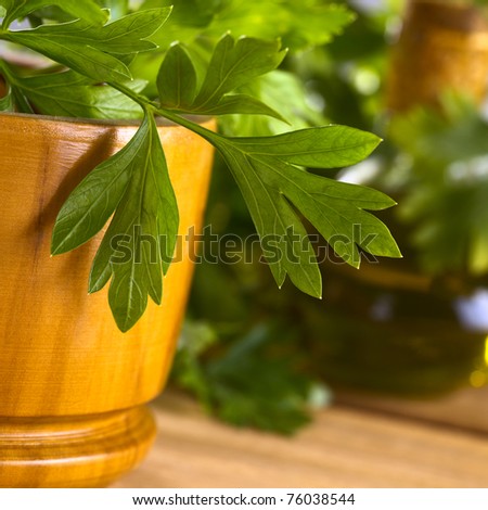 Fresh flat leaf parsley in wooden mortar with oil bottle in the back (Very Shallow Depth of Field, Focus on part of the leaf in the middle)