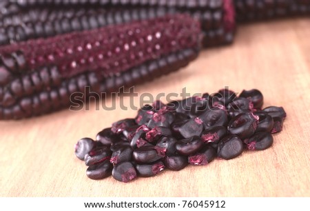 Peruvian purple corn grains with purple corn cobs in the back (Selective Focus, Focus on the front of the grains)