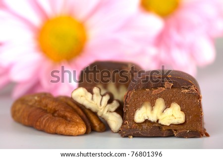 Pecan nut truffle with pecan nut beside and pink flowers in the back (Selective Focus, Focus on the front of the truffle)