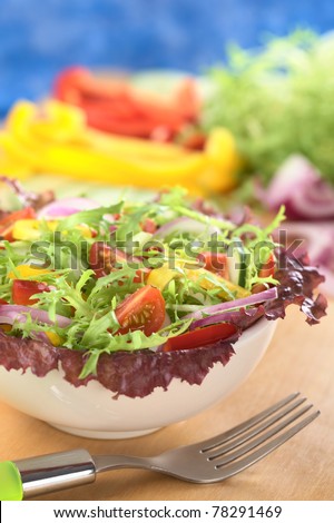Fresh mixed salad from red-leaf lettuce, curly endive, cherry tomato, red onion, cucumber and bell pepper with fork and ingredients in the back (Selective Focus, Focus on the tomato in the front)