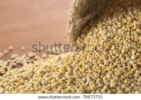 Raw white quinoa, which have high protein content and nutritional value (Very Shallow Depth of Field, Focus running diagonally through the quinoa from left corner to approx. one third on the right)