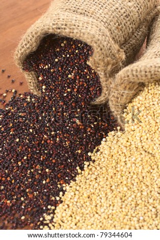 Raw red and white quinoa grains in jute sack on wood. Quinoa is grown in the Andes region  and has a high protein content (Selective Focus, Focus on the red quinoa grains at the sack opening)