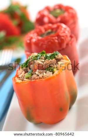 Baked stuffed red bell pepper filled with ground meat, onion, rice, tomato and green onion garnished with parsley (Selective Focus, Focus on the tomato piece and the stuffing around it on the top)