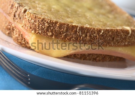 Croque Monsieur. Baked wholewheat bread sandwich filled with ham and cheese and grated cheese on top (Selective Focus, Focus on the left front edge of the sandwich)