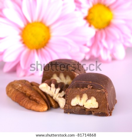 Pecan nut truffle with pecan nut beside and pink flowers in the back (Very Shallow Depth of Field, Focus on the upper front part of the truffle)