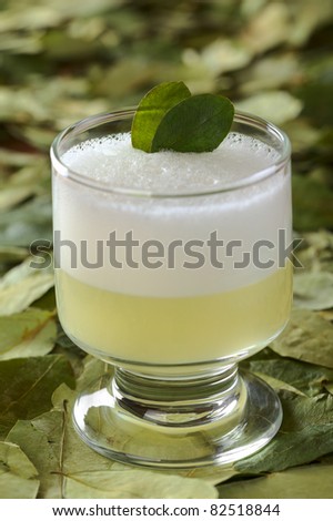 Peruvian cocktail called Coca Sour made of Pisco (Peruvian grape schnaps), coca leaves, lime juice, syrup and egg white (Selective Focus, Focus on the first coca leaf in the cocktail)