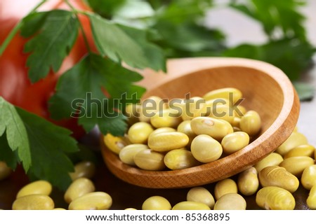 Raw canary beans (also called yellow or peruano beans) on wooden spoon with parsley and tomato (Selective Focus, Focus on the beans on the front of the spoon)