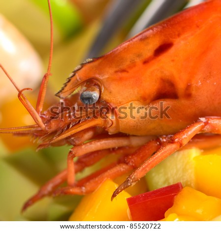 Closeup of the head of a fresh cooked shrimp on a mix of avocado, mango and red bell pepper with a fork in the back (Selective Focus, Focus on the eye)