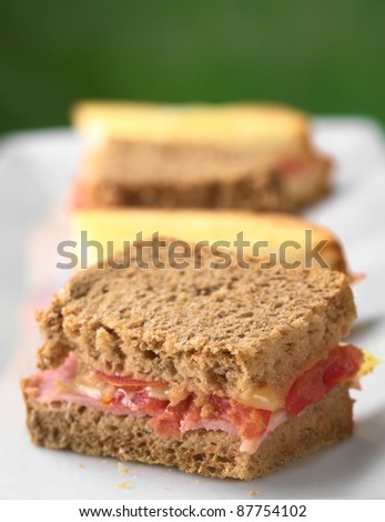 Croque Monsieur. Baked wholewheat and white toast bread canapes filled with ham, tomato and cheese served on a long plate (Selective Focus, Focus on the right edge of the first canape)