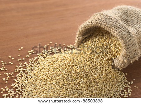 Raw white quinoa grains in jute sack. Quinoa is grown in the Andes and is valued for its high protein content and nutritional value (Selective Focus, Focus on the quinoa in the front sack opening)