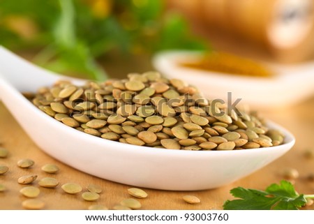 Raw brown lentil seeds with curry powder and cilantro in the back (Selective Focus, Focus on half of the height of the pile)