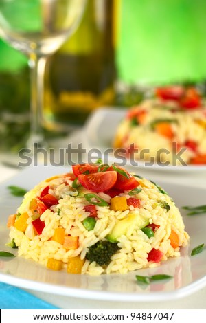 Vegetable risotto garnished with cherry tomato and shallot (Selective Focus, Focus on the front of the cherry tomato on top)