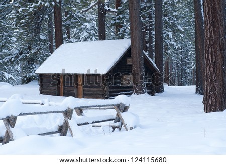 Snow Cabin In Lake Tahoe